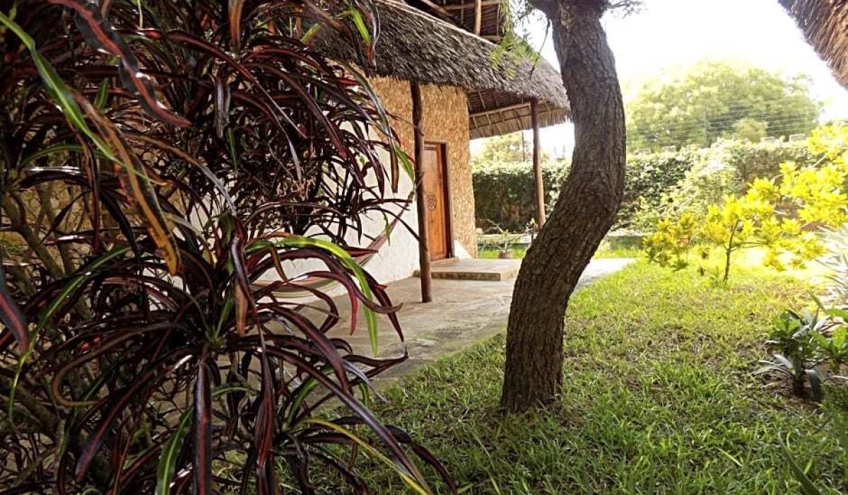 Echo Villas Watamu - Immagine 4