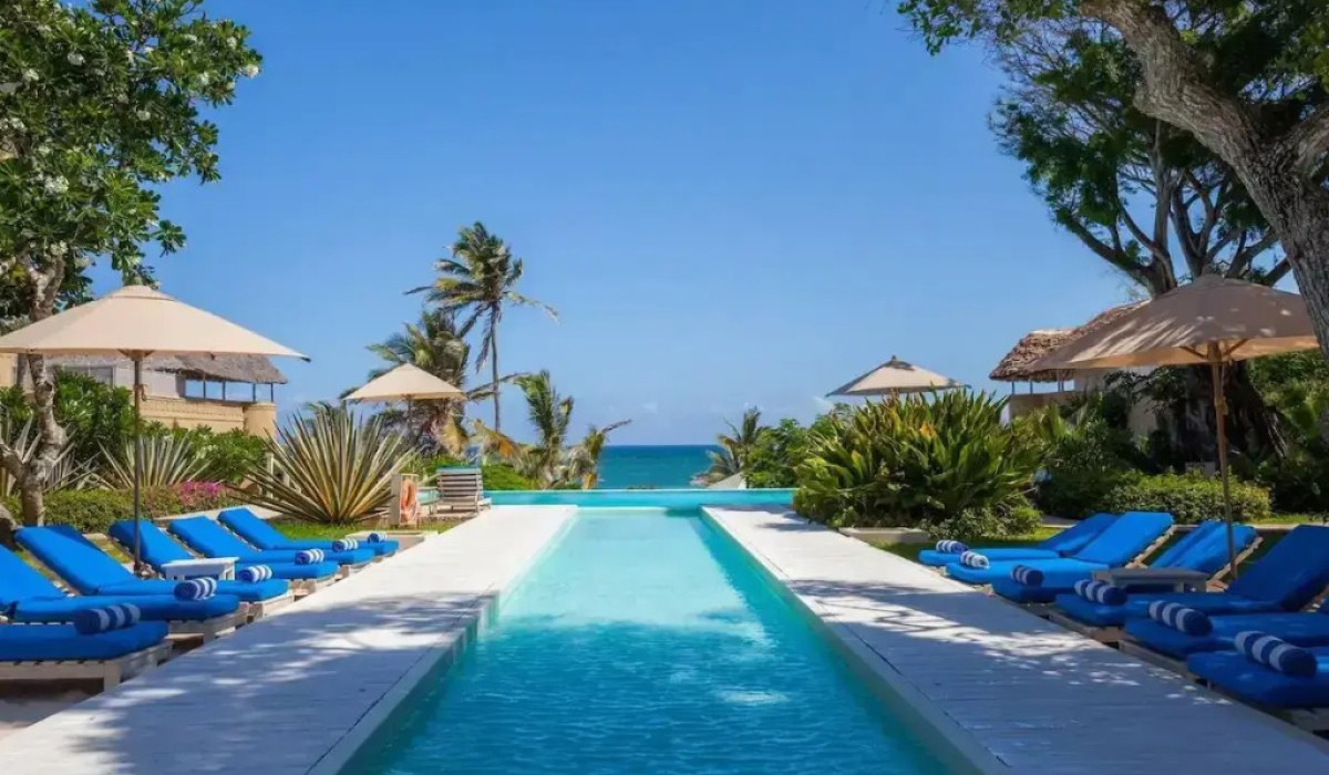 Medina Palms - Immagine 7