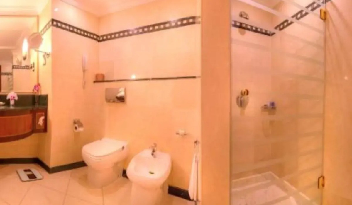 Corniche Hotel Abu Dhabi - Immagine 9
