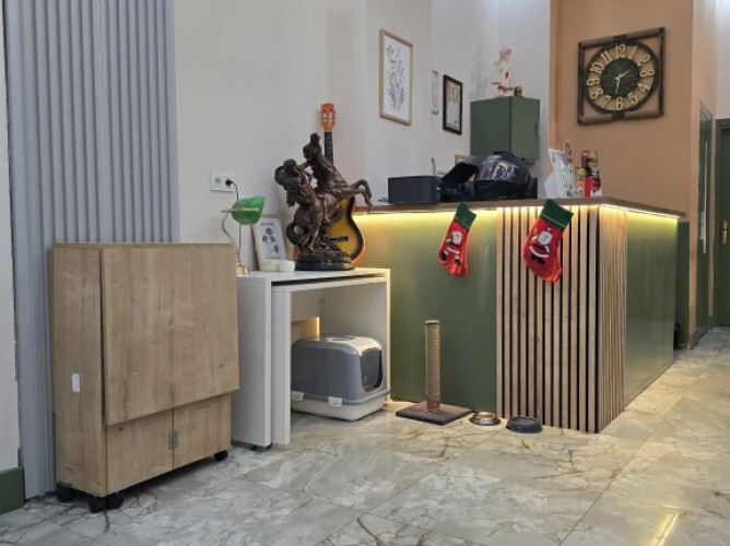 Grand Rafinn Hotel - Immagine 6