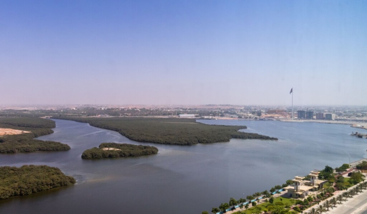 Mangrove Hotel - Immagine 7