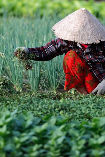 Villaggio di Tra Que, villaggio Cam Thanh