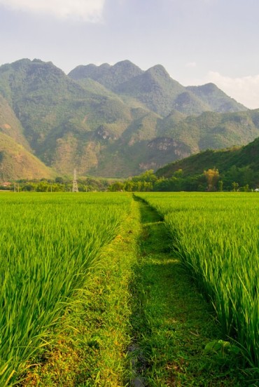 Villaggi di Cha Long e Na Tang