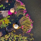 Sai Gon → Cai Be → Chau Doc