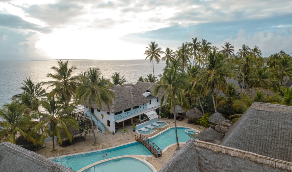 JAZ Adonia - Immagine 1