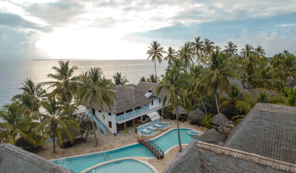 JAZ Adonia - Immagine 2