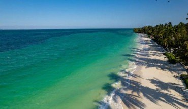 Sunny Palms Beach Bungalows