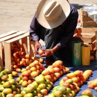 Un venditore di mango e frutta al mercato di San Cristóbal de Las Casas espone ceste colme di colori e profumi tropicali, offrendo prodotti freschi e raccontando l’autenticità della vita locale.