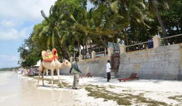 Neptune Beach Resort
