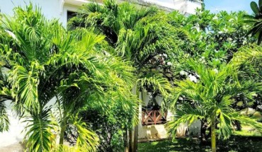 Green Malindi Apartments by RevSerene