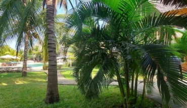 Tembo Court Apartment