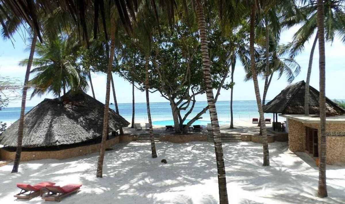 Coco De Ville - Immagine 1