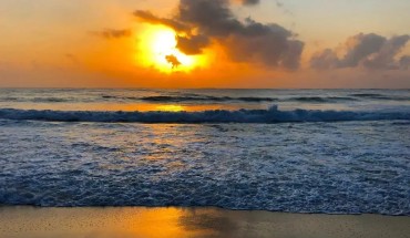 Diani Paradise Villas