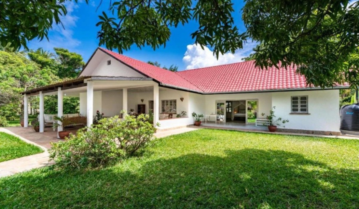 Hibiscus - Immagine 2