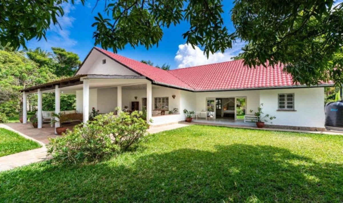 Hibiscus - Immagine 1