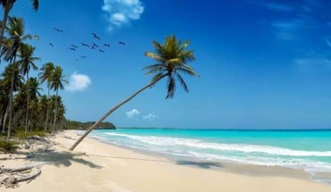 Mangro Hotel Diani Beach