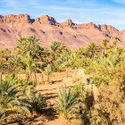 Ouarzazate → Zagora