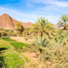 Ouarzazate → Zagora