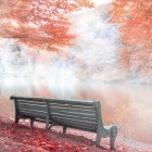 Panchina sul Lago Parz a Dilijan, avvolta da caldi colori autunnali. Un luogo incantevole tra boschi e silenzi, perfetto per relax e momenti di pura armonia con la natura.