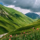 Paesaggio montano della Svaneti in Georgia, tra verdi colline e vette imponenti. Natura incontaminata e panorami spettacolari in una delle regioni più affascinanti del Caucaso.