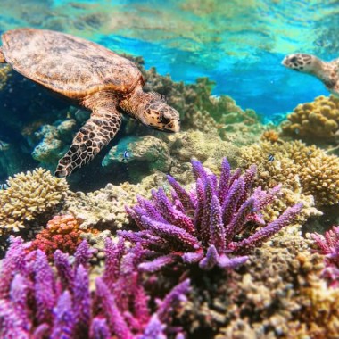 Tour Egitto Classico e Mare