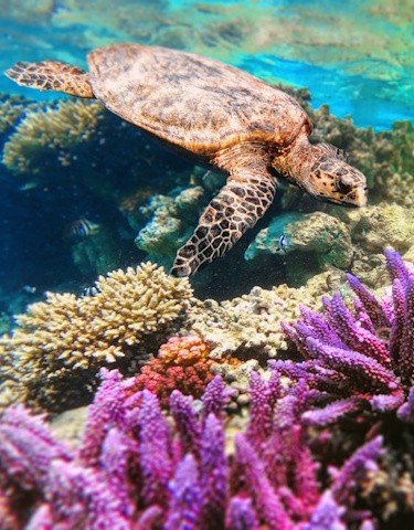 Tour Egitto Classico e Mare