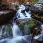 Cascata di Gveleti nella gola di Dariali: acqua cristallina scorre tra rocce muschiose e foglie autunnali, creando un’atmosfera fresca e suggestiva nel cuore della natura georgiana.