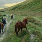 Cavalli al pascolo libero nella suggestiva Valle di Juta, tra verdi altipiani e paesaggi incontaminati che raccontano l’anima autentica del Caucaso georgiano