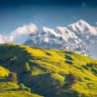Prati alpini accesi dai colori estivi si stendono ai piedi del Tetnuldi. La luce del mattino accarezza l’Alta Svaneti e disegna con calma i profili del Caucaso.