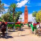 Il Minareto della Koutoubia domina Marrakech tra palme, carrozze e giardini, simbolo della città imperiale marocchina.