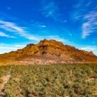 La Valle del Ziz, nei pressi di Zagora, regala spettacolari paesaggi sahariani tra palmeti rigogliosi, altopiani rocciosi e antiche oasi che raccontano l’anima autentica del Marocco meridionale.