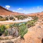 Panorama della Valle dello Ziz, in Marocco, tra palmeti, oasi verdi e montagne dell’Alto Atlante che disegnano uno degli scenari più affascinanti del Nord Africa.