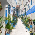 Tra vicoli bianchi, dettagli blu e piante colorate, le stradine di Tangeri raccontano il fascino autentico della medina marocchina.