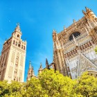 La maestosa Cattedrale di Siviglia e la Giralda si innalzano tra il verde degli aranci, simboli senza tempo di una città dove storia, arte e tradizione si incontrano.