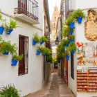 La celebre Calleja de las Flores conquista con muri bianchi, vasi fioriti e il campanile della Mezquita sullo sfondo. Uno degli scorci più fotografati del quartiere ebraico di Cordova.