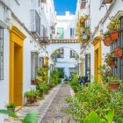 Passeggiare nella Judería di Cordova significa perdersi tra vicoli fioriti, cortili bianchi e balconi colorati. Un angolo autentico dove storia, cultura e tradizioni prendono vita.