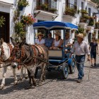 Il caratteristico taxi-asino di Mijas percorre le vie del borgo tra case bianche e balconi fioriti, mantenendo viva una tradizione che da decenni identifica questo angolo della Costa del Sol.