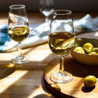 Un calice di Sherry Fino, ottenuto da uve Palomino, accompagna la degustazione nelle storiche bodegas di Jerez de la Frontera, esaltando la grande tradizione enologica andalusa.