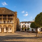 La piazza della Collegiata di Santa María la Mayor conserva il fascino della Ronda medievale. Tra portici, pietra e scorci autentici, racconta secoli di storia nel cuore dell'Andalusia.