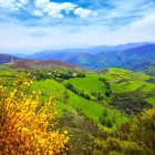 Le verdi vallate che circondano O Cebreiro regalano panorami spettacolari tra montagne, boschi e fioriture primaverili lungo il Cammino di Santiago.