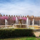La scenografica Plaza Adolfo Suárez conduce lo sguardo verso le possenti mura medievali di Ávila, mentre sullo sfondo emerge la Cattedrale del Salvatore, simbolo della città Patrimonio UNESCO.
