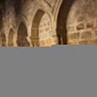 Il chiostro romanico della Cattedrale di Plasencia affascina con archi a tutto sesto, robuste colonne in pietra e capitelli scolpiti, preziosa testimonianza dell'arte medievale.
