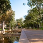 Il Paseo de Recoletos offre una pausa verde nel cuore di Madrid: vasche lineari, colonne in pietra e alberi ombrosi accompagnano il cammino lungo lo storico boulevard cittadino