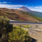 Il Teide domina il paesaggio vulcanico di Tenerife, tra colate dai toni rossastri, distese di retama del Teide e pinete canarie, lungo la strada panoramica che attraversa il parco nazionale.