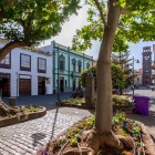 Nella verde Plaza de la Junta Suprema, il busto di Alonso de Nava y Grimón ricorda la storia delle Canarie, mentre la torre della Concepción chiude la prospettiva su Calle San Agustín.