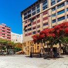 Nel cuore di Santa Cruz de Tenerife, Plaza José Arozena Paredes accoglie i visitatori tra flamboyant in fiore e l’originale arco ligneo dedicato all’artista Óscar Domínguez.