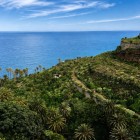 Palme delle Canarie e piante succulente rivestono i pendii vulcanici presso Los Gigantes, creando un paesaggio subtropicale che digrada verso l’azzurro dell’Atlantico.