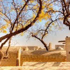 Tra alberi secolari e muri in mattoni, le antiche sepolture della Necropoli di Chor Bakr raccontano la devozione sufi e la memoria delle famiglie religiose di Bukhara.
