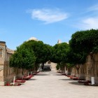 Il Raravi Daroz attraversa la necropoli di Bahauddin Naqshband tra alberi, nicchie in mattoni e tombe reali, guidando il visitatore nel silenzio della memoria.
