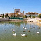 Nel complesso di Al Gijduvani, il laghetto con cigni e anatre accompagna la visita tra giardini curati, porticati e architetture sacre di Gijduvan, vicino a Bukhara, in Uzbekistan.
